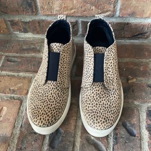 Leopard shoes